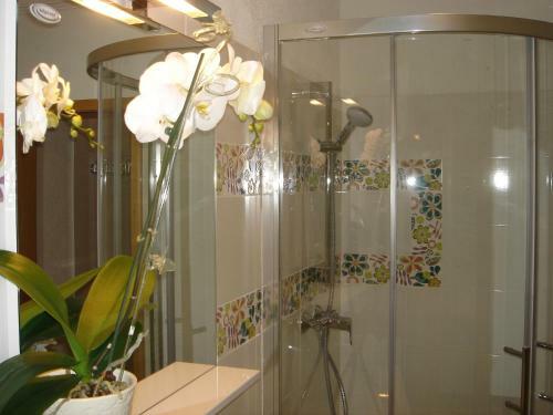 Hostal Apartments And Rooms Kristina