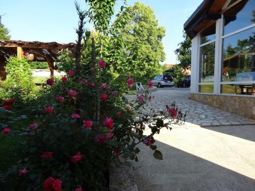 Hostal Apartments And Rooms Kristina