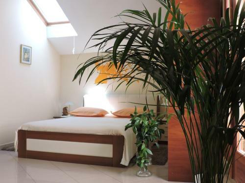Apartments Trogir Stars