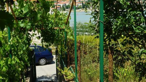 Apartment Hrabar Longo