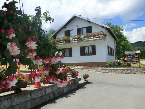Hostal Pansion Izvor