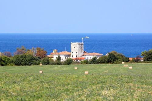 Hostal Apartment Dajla 6935a