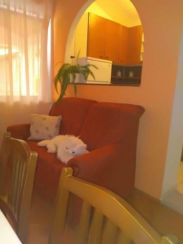 Kampor Apartment 7