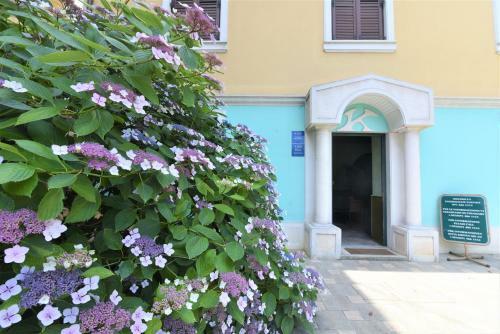 Apartmani Villa Kontesa
