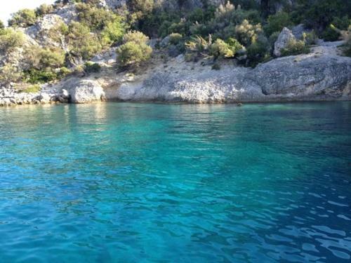 Luxury Apartments Istra Fortuna