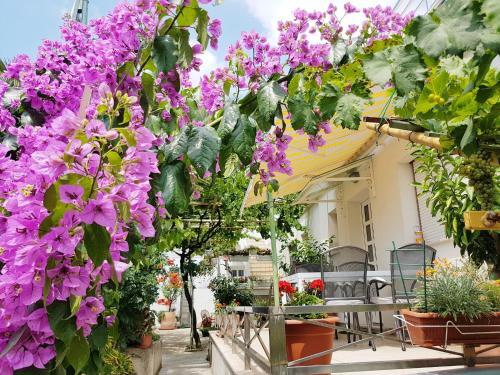 Apartments In Pula/istrien 11378