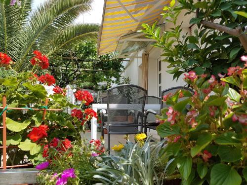 Apartments In Pula/istrien 11378