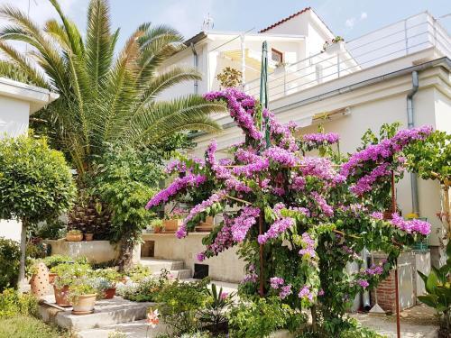 Apartments In Pula/istrien 11378