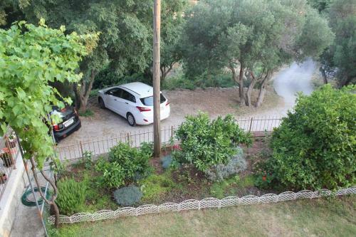 Apartment Cunski 7867c