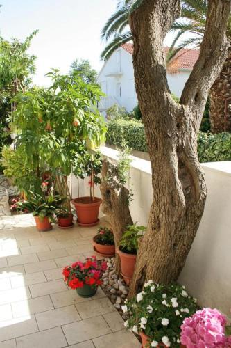 Apartment Orebic 4532b