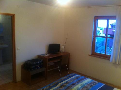 Apartments And Rooms With A Swimming Pool Novigrad - 11242