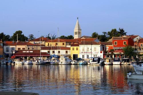 Apartments And Rooms With A Swimming Pool Novigrad - 11242