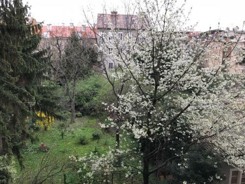 Apartments My Zagreb