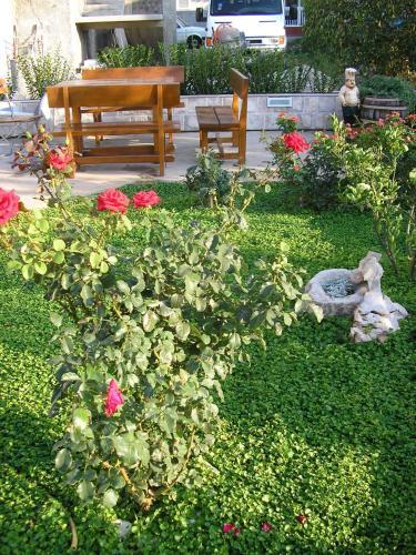 Hostal Viola Cavtat Rooms