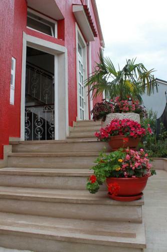 Apartamentos Guesthouse Ava