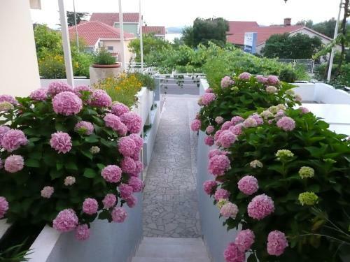 Hostal Apartment Nima Orebic