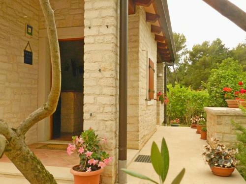 Apartment Valter