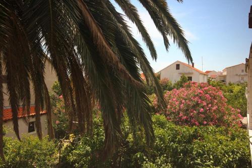 Hostal Apartment Orebic 10177a