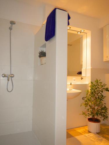 Stella Mare Apartments