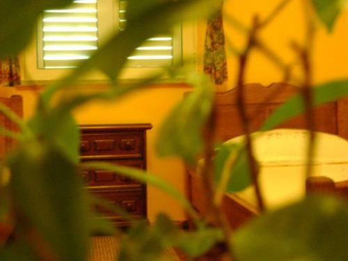 Hostal Guest House Marijana