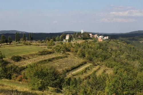 Hostal Double Room Oprtalj 7081b