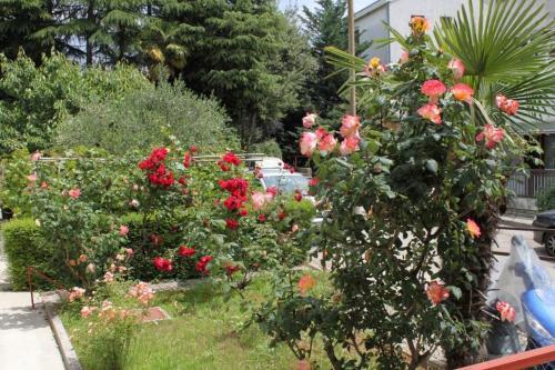 Apartment Lovran 7886a