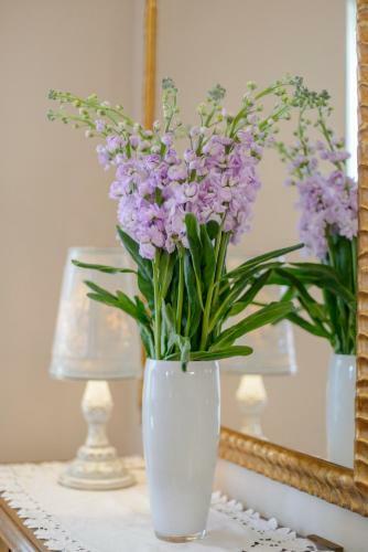 Hostal Superior Apartment Gravosa