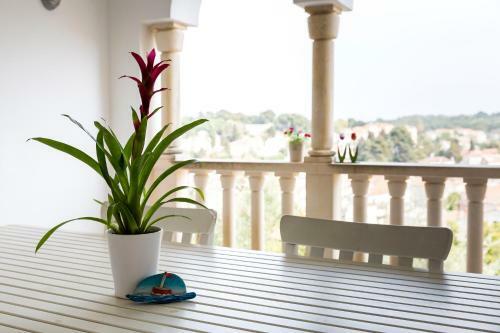 Hostal Guesthouse Alma