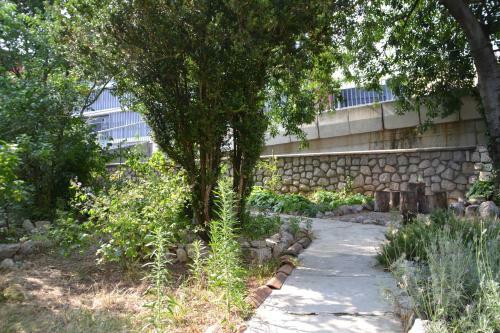 Apartment Dux