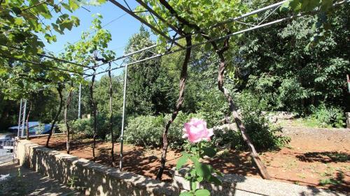 Apartment In Malinska/insel Krk 12950
