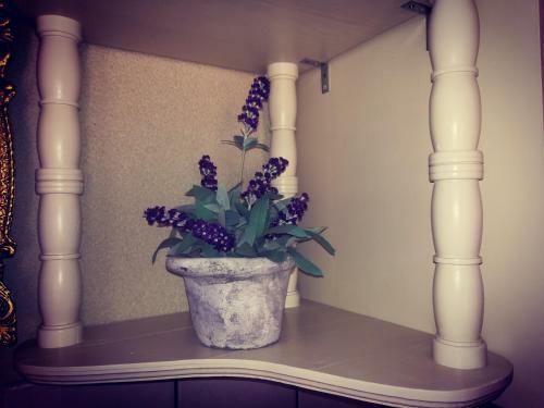 Apartment Ines