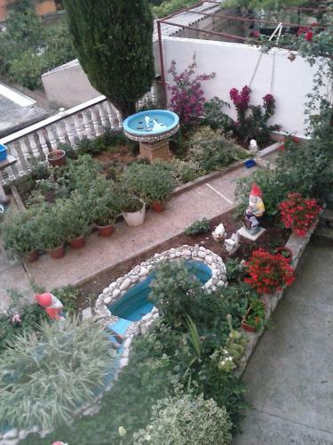 Apartment Ines