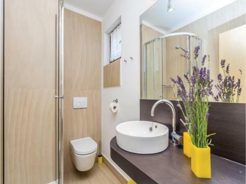 Apartment Mali Kijec