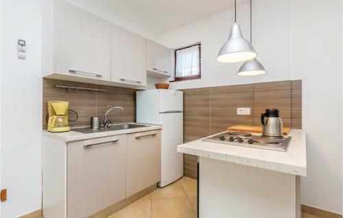 Apartment Mali Kijec