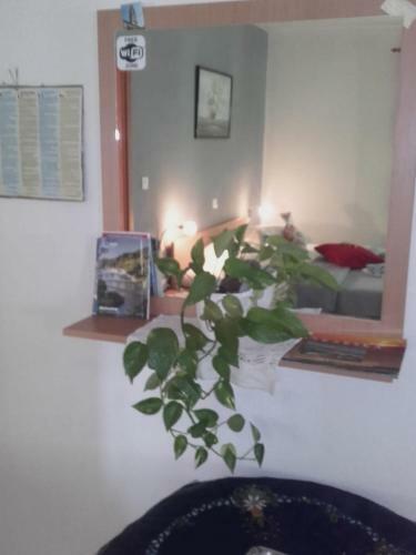 Apartamentos Villa Mia Makarska