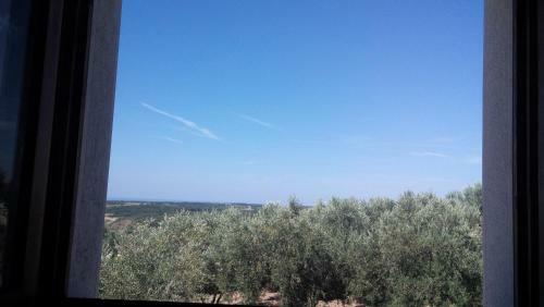 Apartment Agroturizam Rade?i?