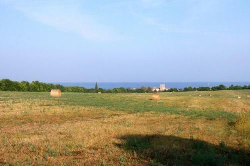 Apartments With A Parking Space Mareda (novigrad) - 7100