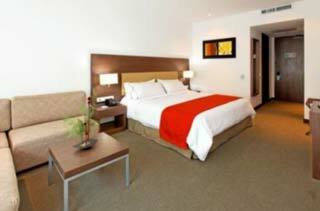Hotel Holiday Inn Express Bogot�