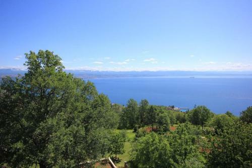 Apartments With A Parking Space Liganj (opatija) - 2337