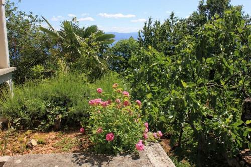 Apartments With A Parking Space Liganj (opatija) - 2337