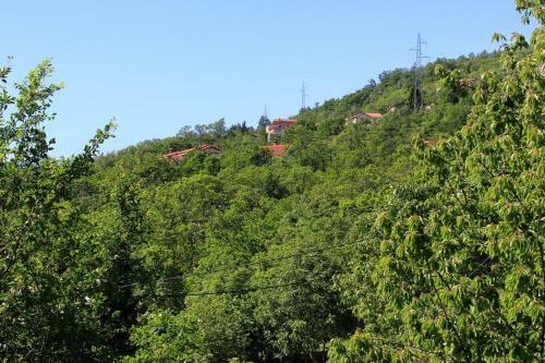Apartments With A Parking Space Liganj (opatija) - 2337