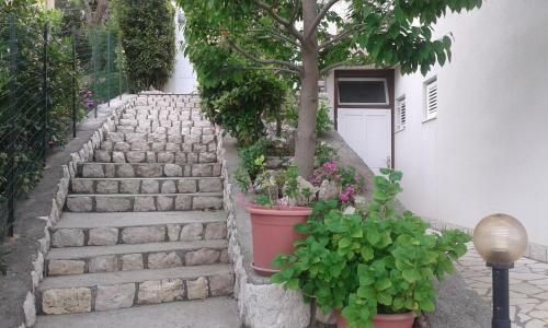 Bed & Breakfast Guest House Lucija