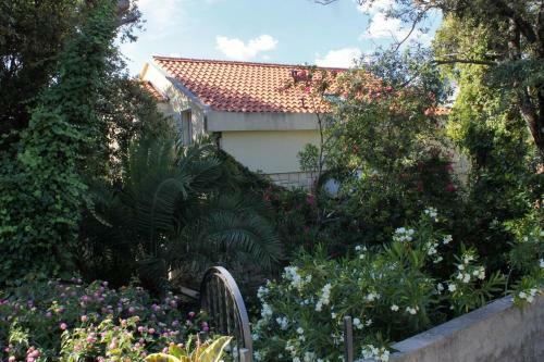 Apartamentos Studio Zaton Veliki 9054a