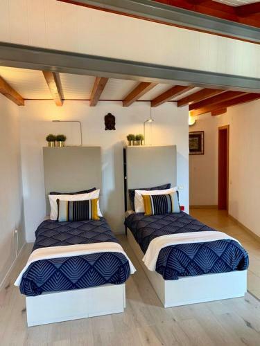 Apartamentos Guest House Pina