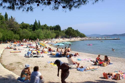 Apartment Vodice 4198d