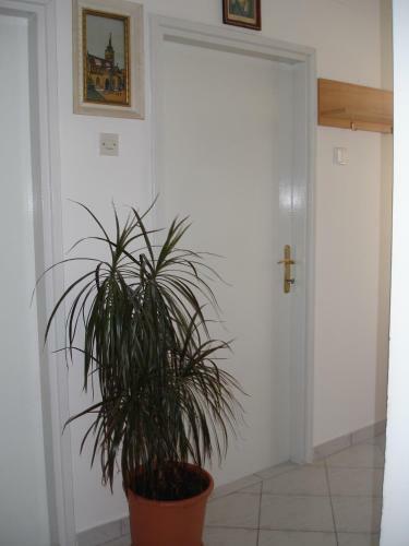 Hostal Rooms Andrijana