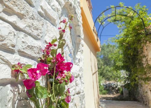 Villa Stone House San Pelegrin