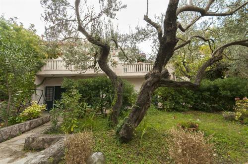 Apartment Katica