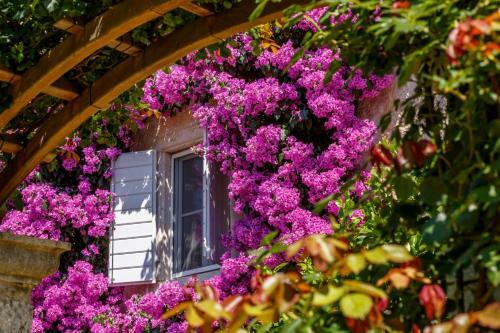 Hotel Lemongarden - Adults Only