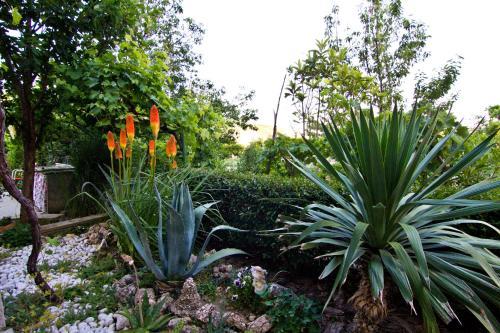 Hostal Guest House Biserka 3129